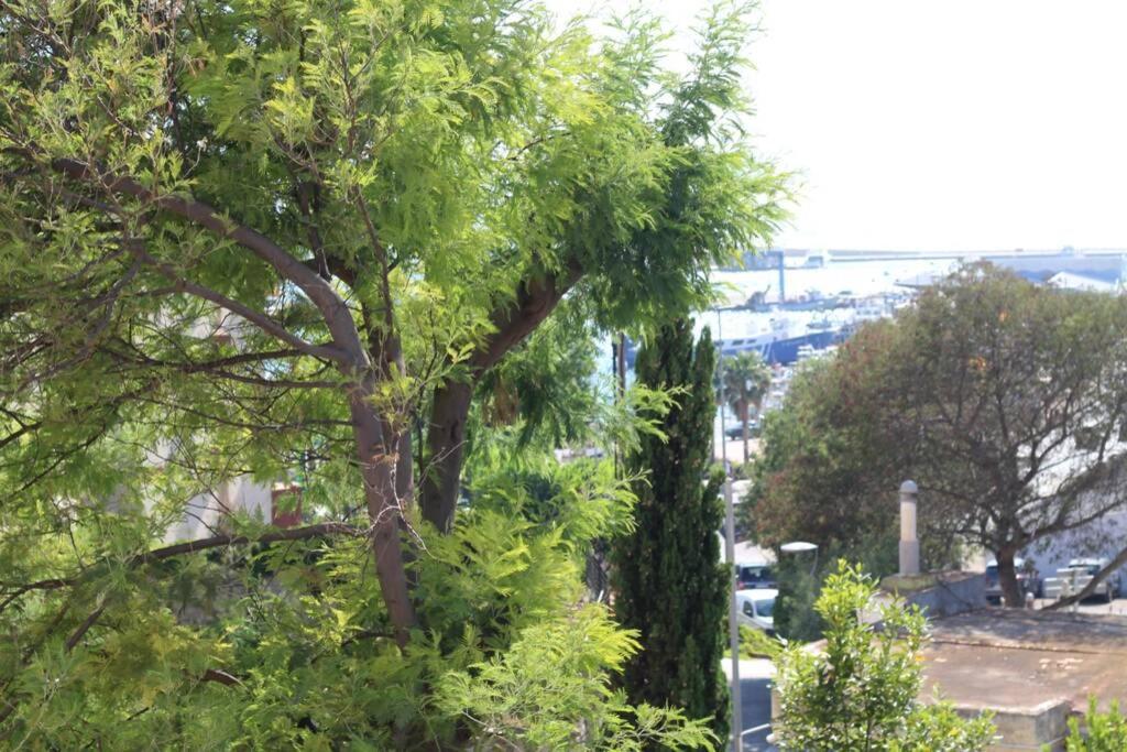 Apartment Junto Al Mar En Rosas, Puig Rom Nuevo, Wifi, Tranquilidad Roses